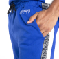 Preview: PADDOCK BLUE HERREN JOGGINGHOSE